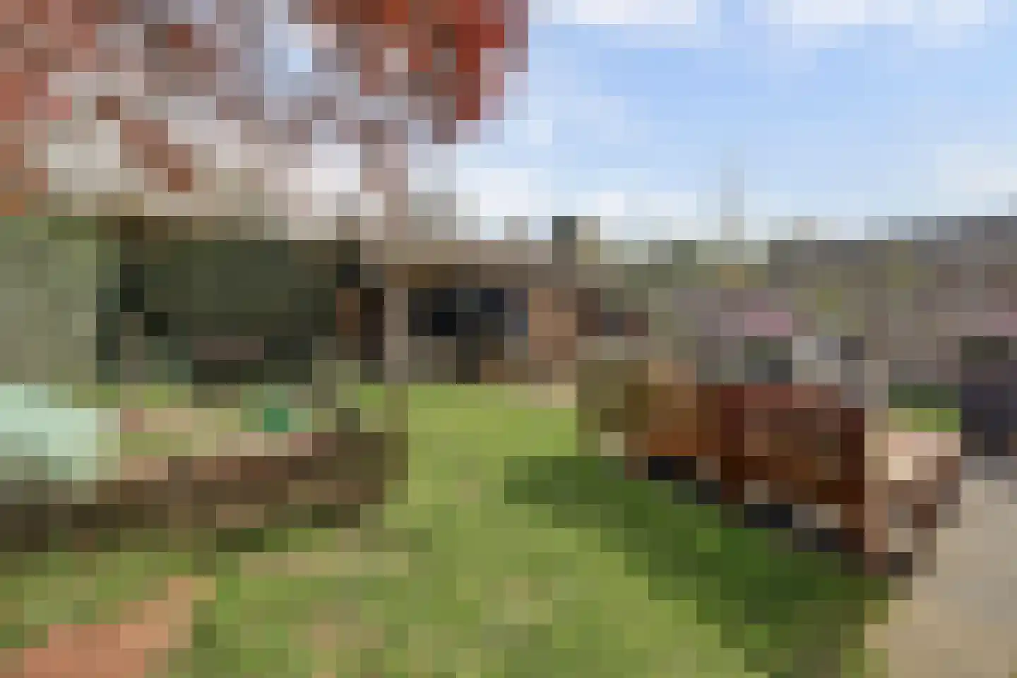 Brouwerskamp 22 Nunspeet thumbnail 47