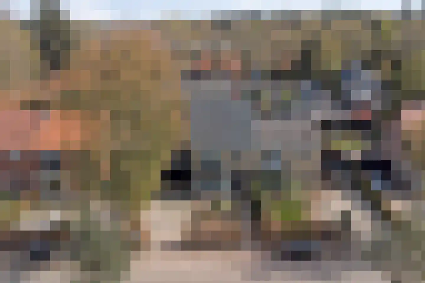 Brouwerskamp 22 Nunspeet thumbnail 48