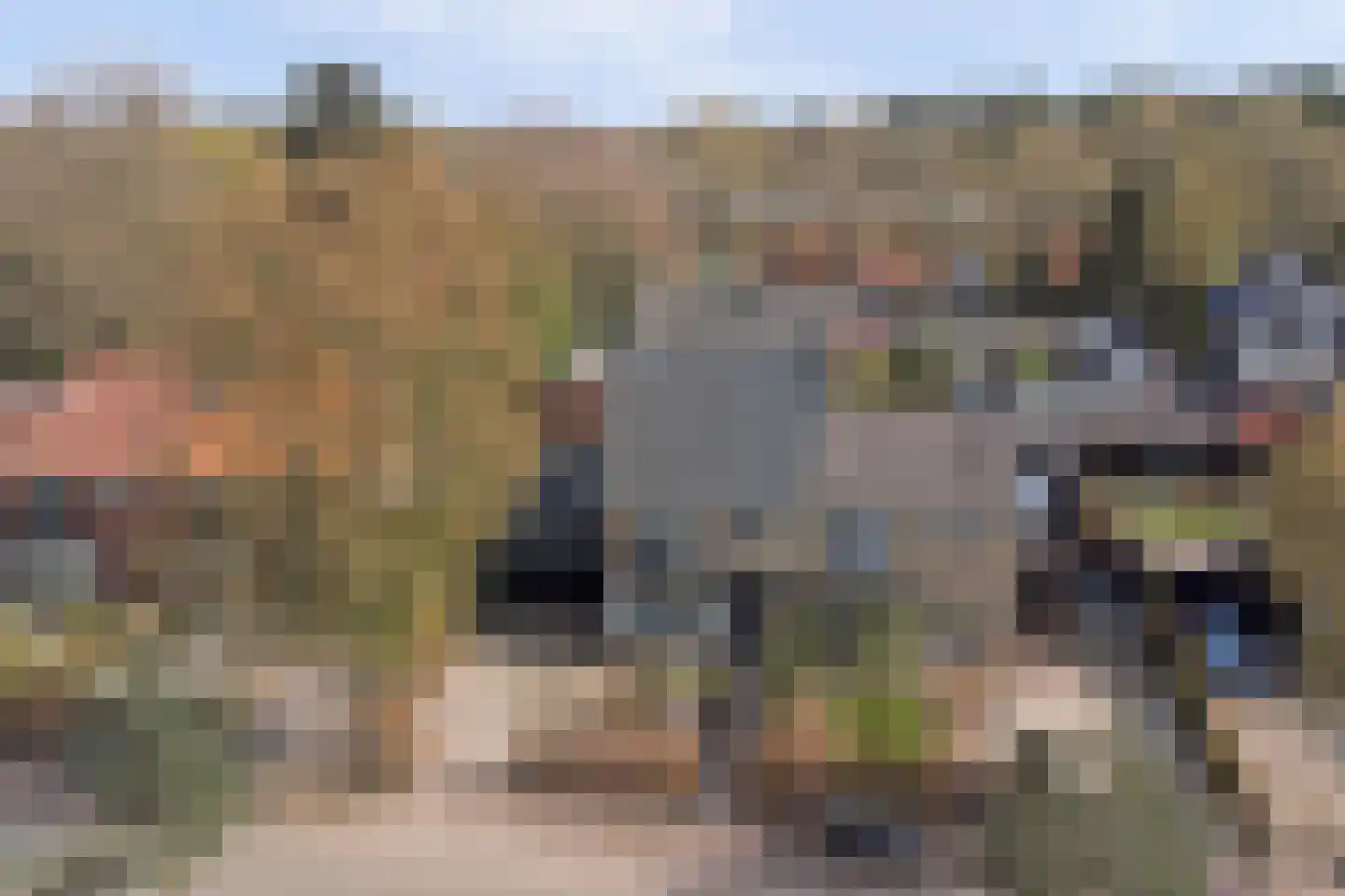 Brouwerskamp 22 Nunspeet thumbnail 50