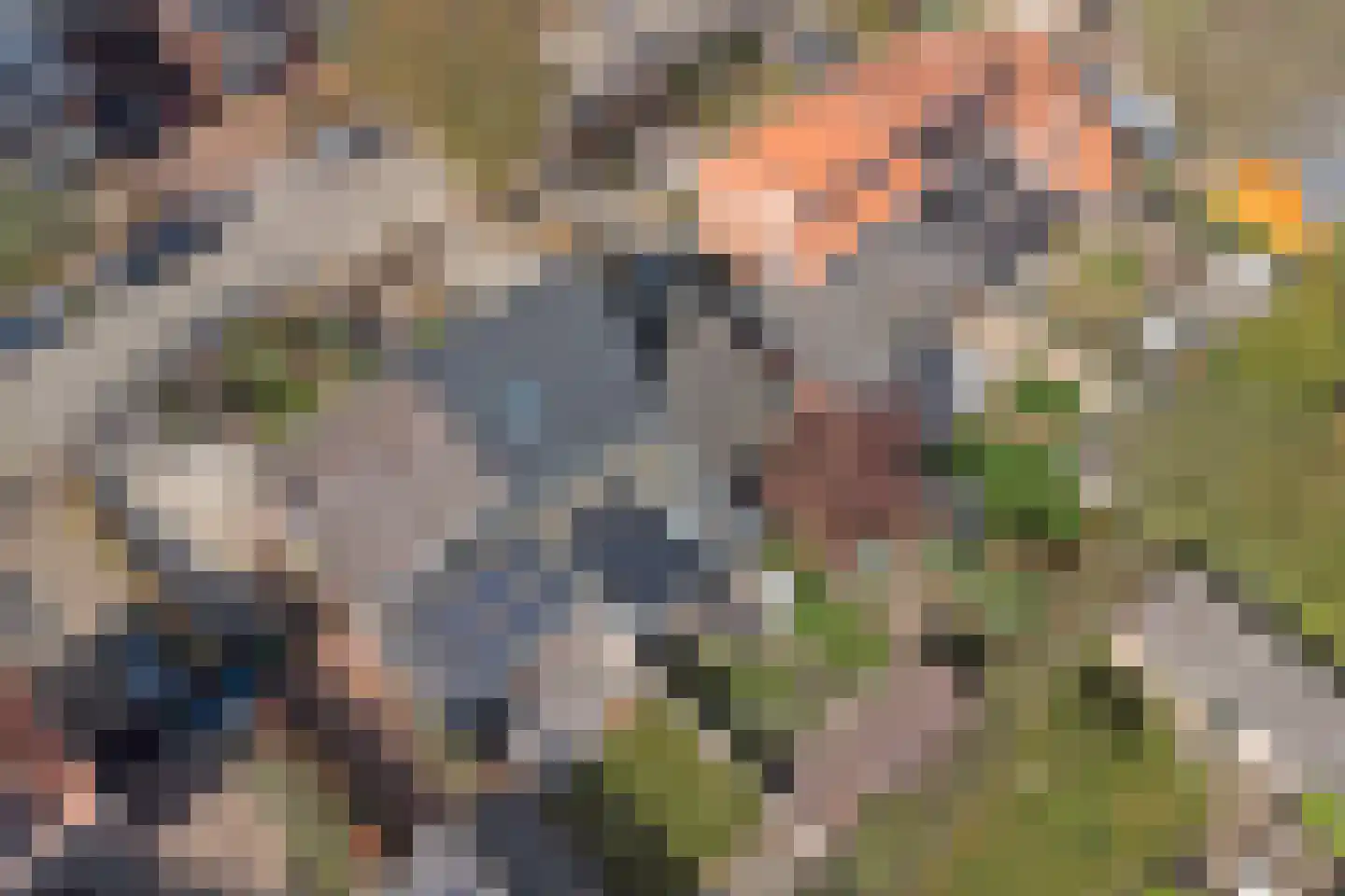 Brouwerskamp 22 Nunspeet thumbnail 52