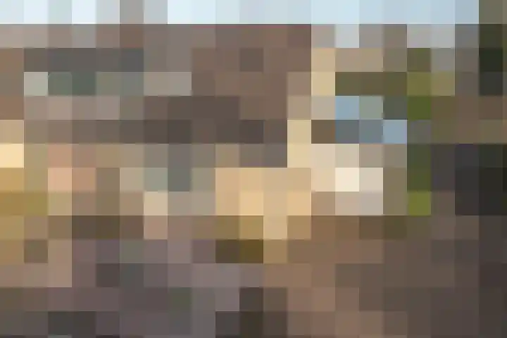 Brouwerslaan 1 A Heerenveen thumbnail 25