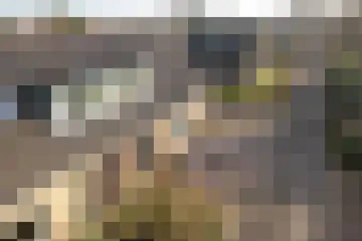 Brouwerslaan 1 A Heerenveen thumbnail 35