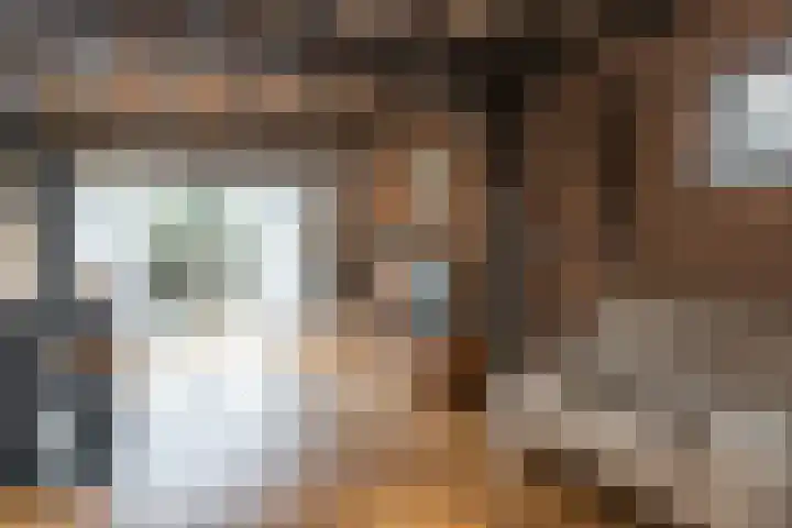 Brouwerslaan 1 A Heerenveen thumbnail 9