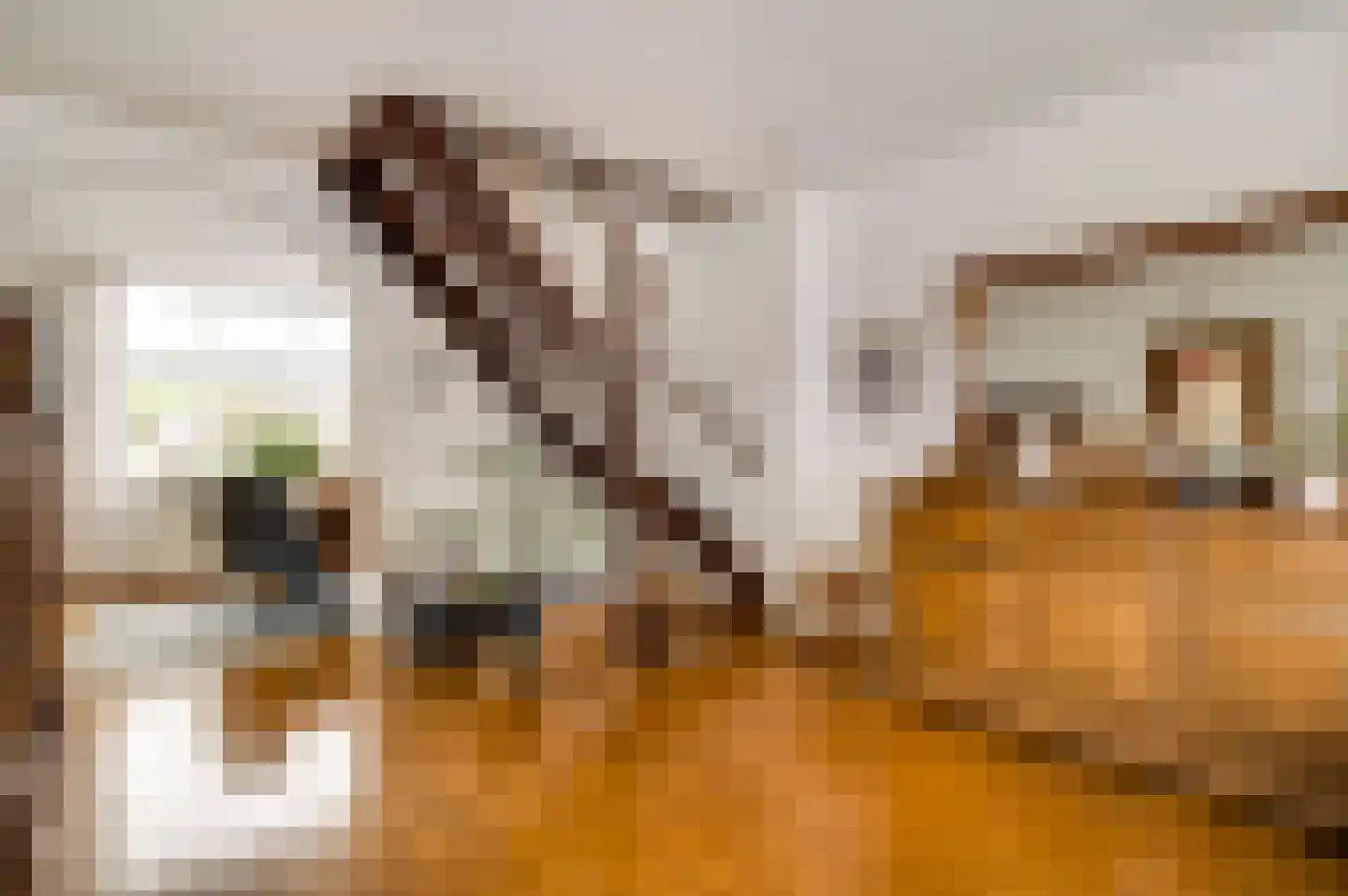 Brouwerslaan 11 Heythuysen thumbnail 13