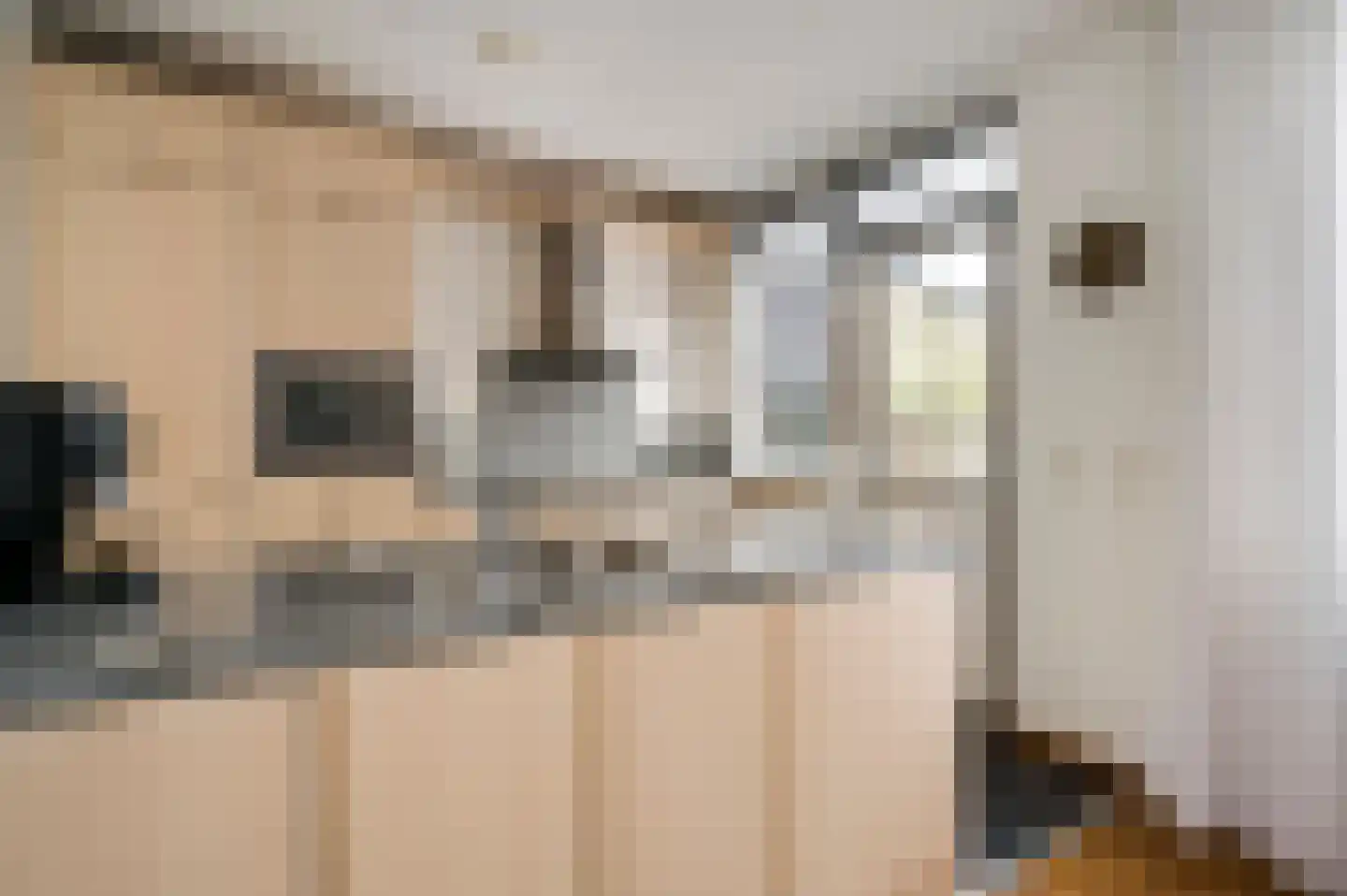 Brouwerslaan 11 Heythuysen thumbnail 18