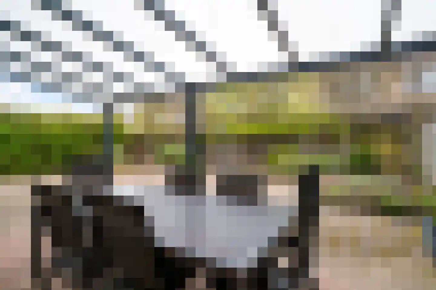 Brouwerslaan 11 Heythuysen thumbnail 33