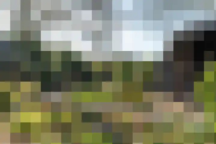Brouwerslaan 14 Heerenveen thumbnail 31