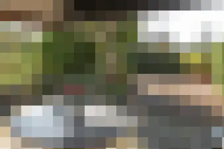 Brouwerslaan 14 Heerenveen thumbnail 32