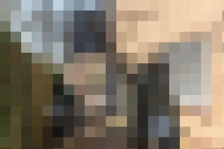 Brouwerslaan 14 Heerenveen thumbnail 33