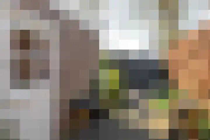 Brouwerslaan 14 Heerenveen thumbnail 34