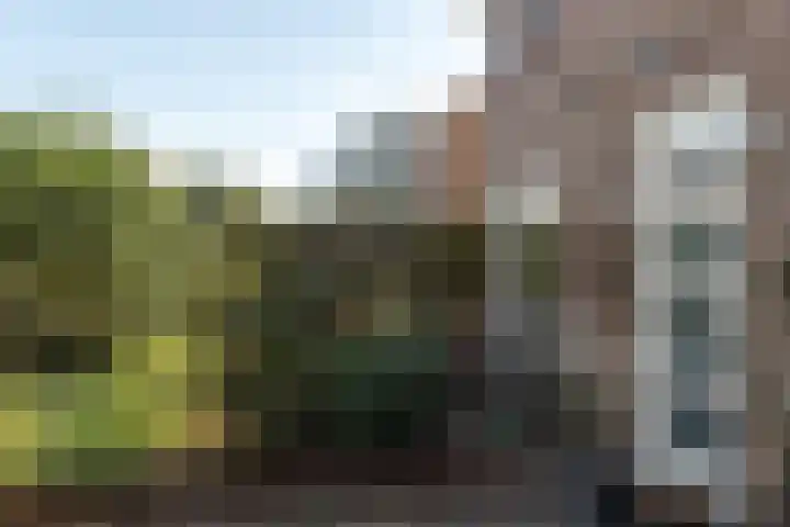 Brouwerslaan 14 Heerenveen thumbnail 35