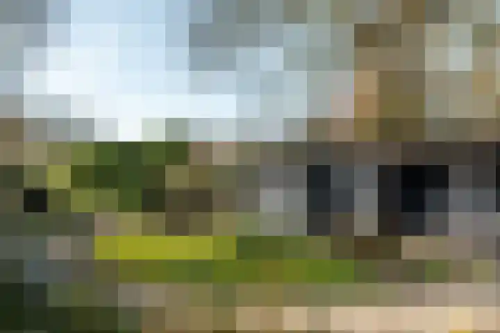 Brouwerslaan 14 Heerenveen thumbnail 36