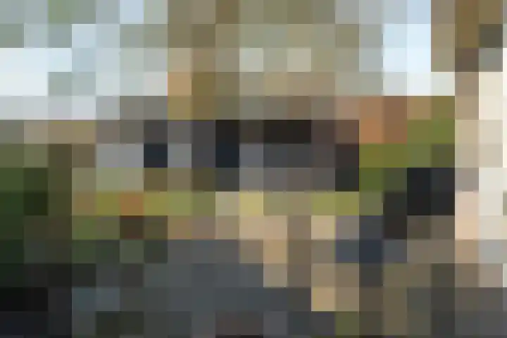 Brouwerslaan 14 Heerenveen thumbnail 37