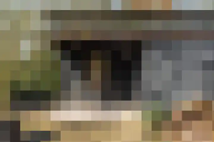 Brouwerslaan 14 Heerenveen thumbnail 39