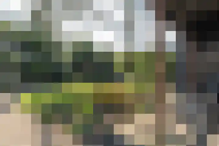 Brouwerslaan 14 Heerenveen thumbnail 41
