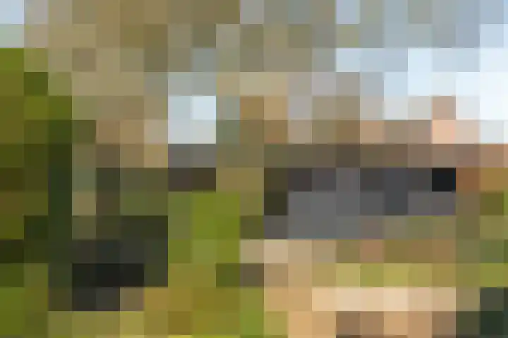 Brouwerslaan 14 Heerenveen thumbnail 42