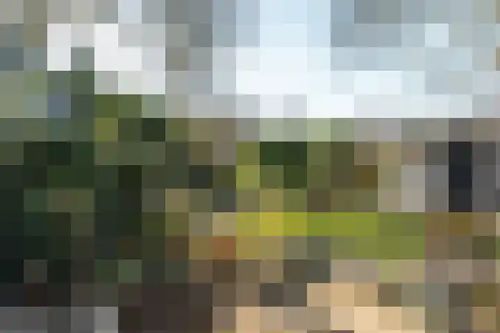 Brouwerslaan 14 Heerenveen thumbnail 43