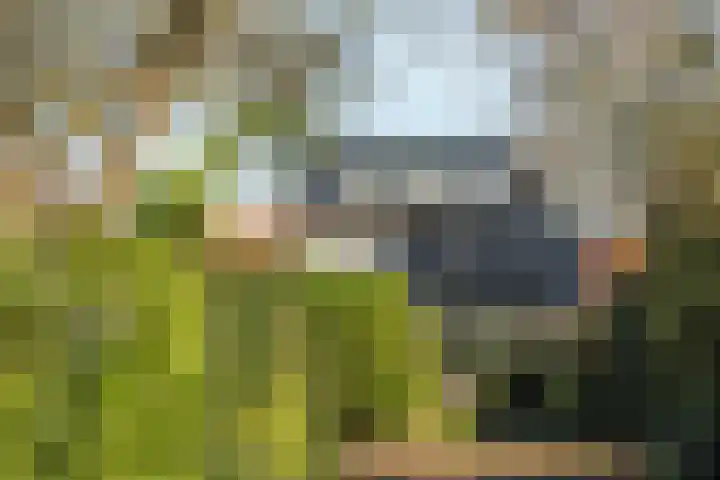 Brouwerslaan 14 Heerenveen thumbnail 46