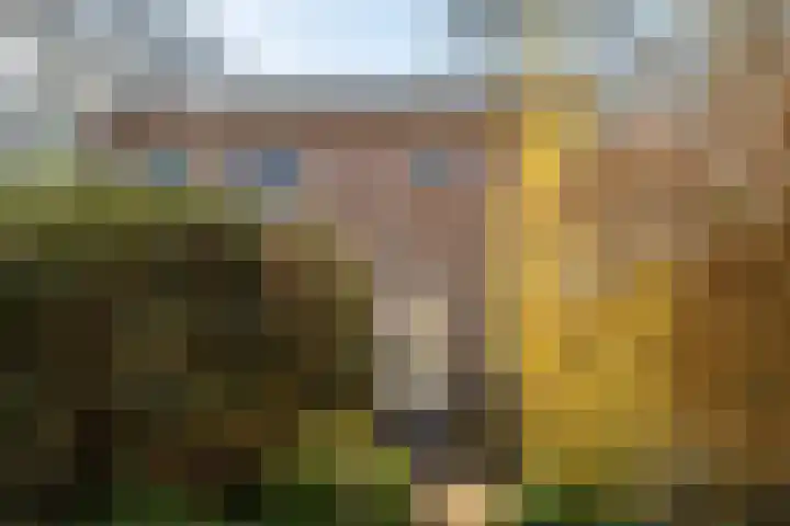 Brouwerslaan 14 Heerenveen thumbnail 51