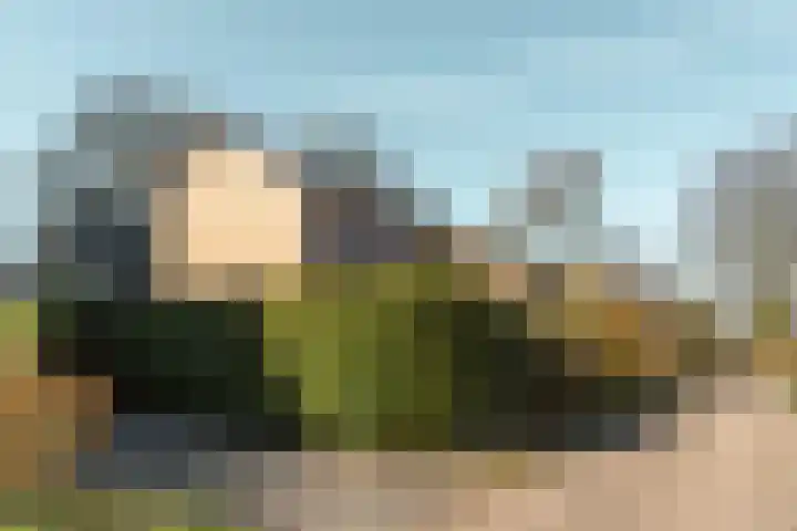 Brouwerslaan 14 Heerenveen thumbnail 53