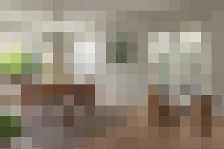 Brouwerslaan 14 Heerenveen thumbnail 8