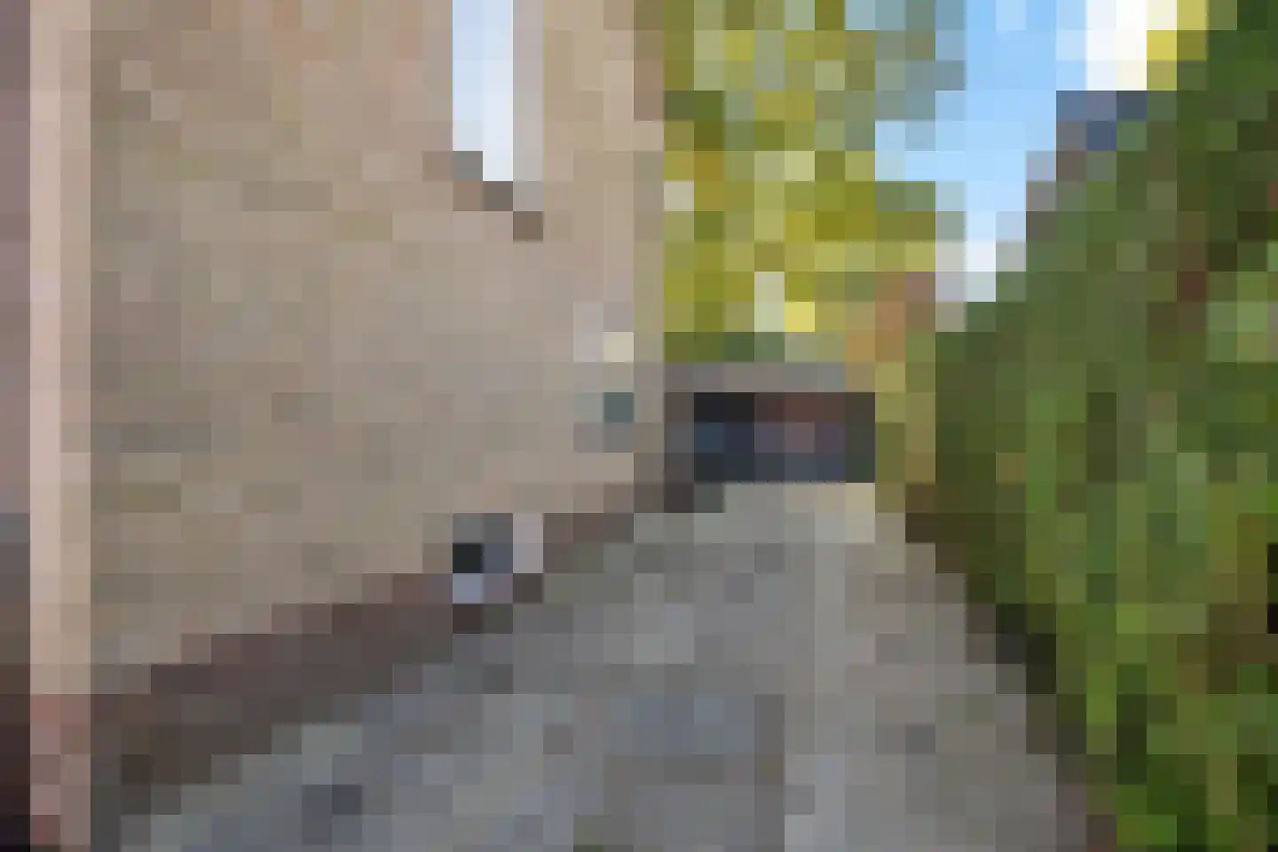 Brouwerslaan 16 Heerenveen thumbnail 8