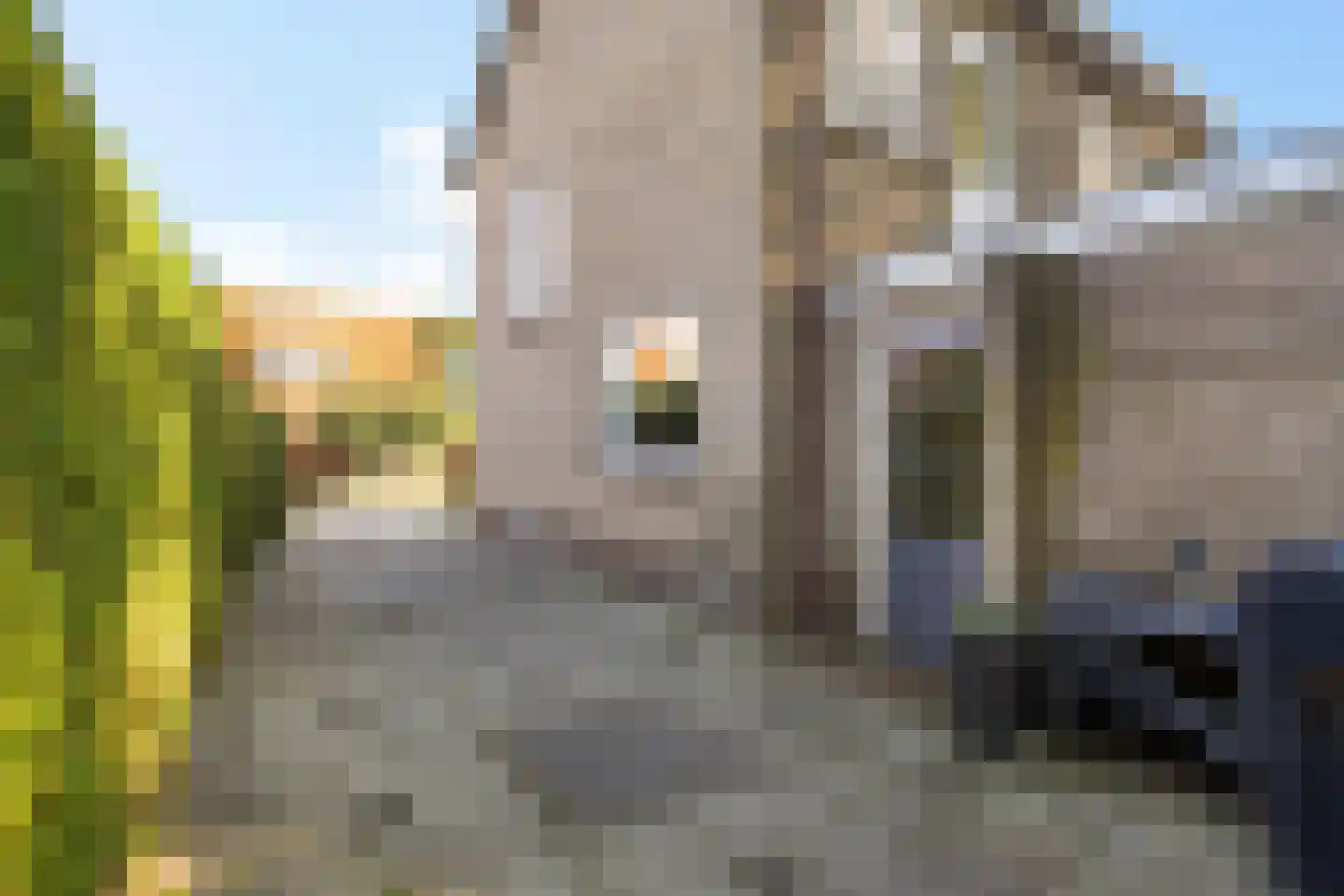 Brouwerslaan 16 Heerenveen thumbnail 9