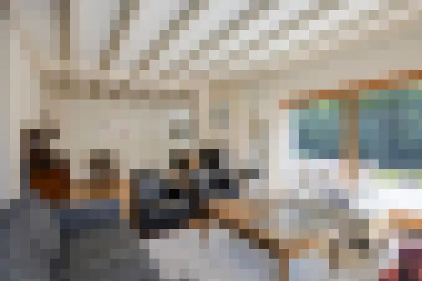 Brouwerslaan 18 Bemmel thumbnail 12
