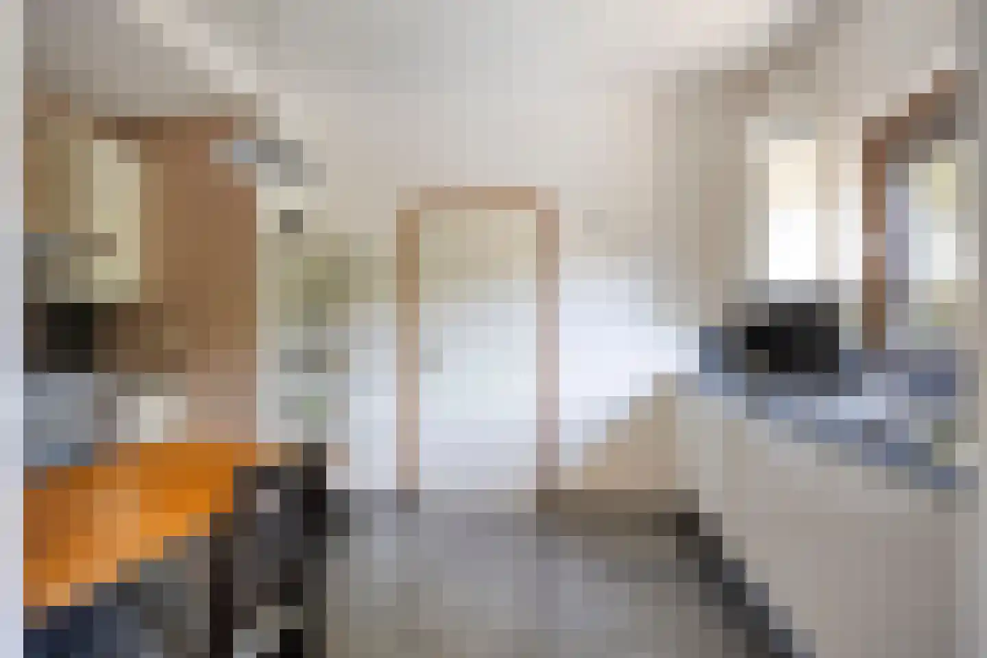 Brouwerslaan 18 Bemmel thumbnail 21
