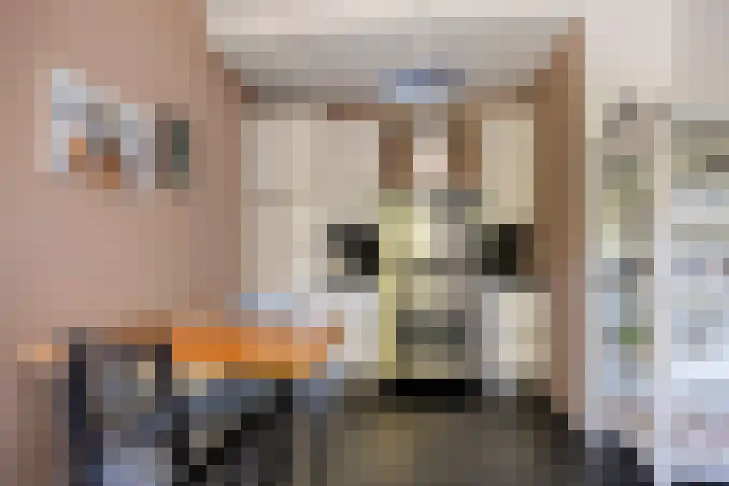 Brouwerslaan 18 Bemmel thumbnail 22