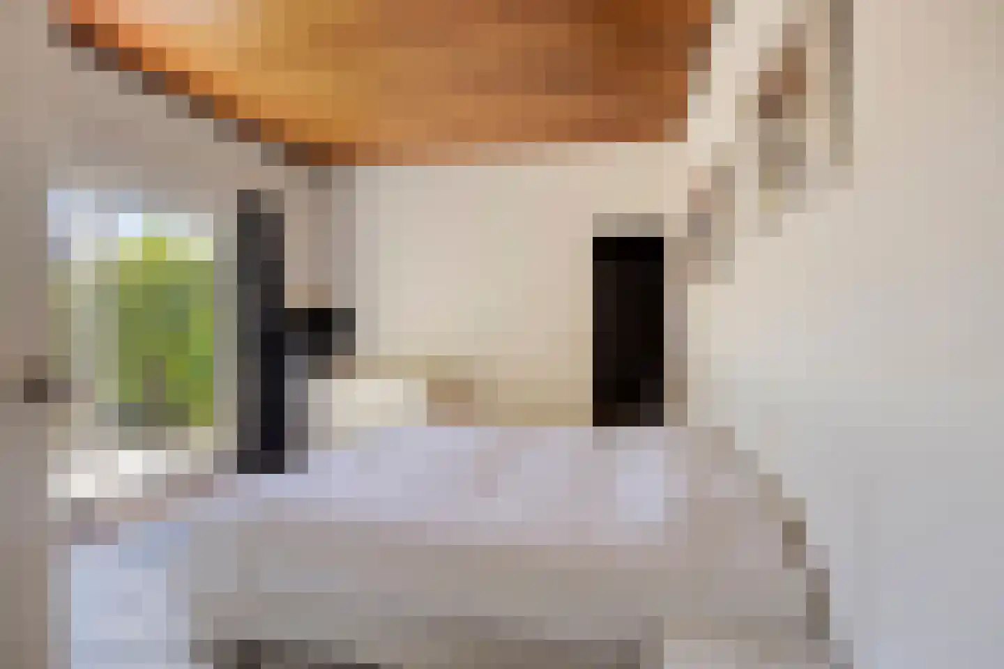 Brouwerslaan 18 Bemmel thumbnail 26