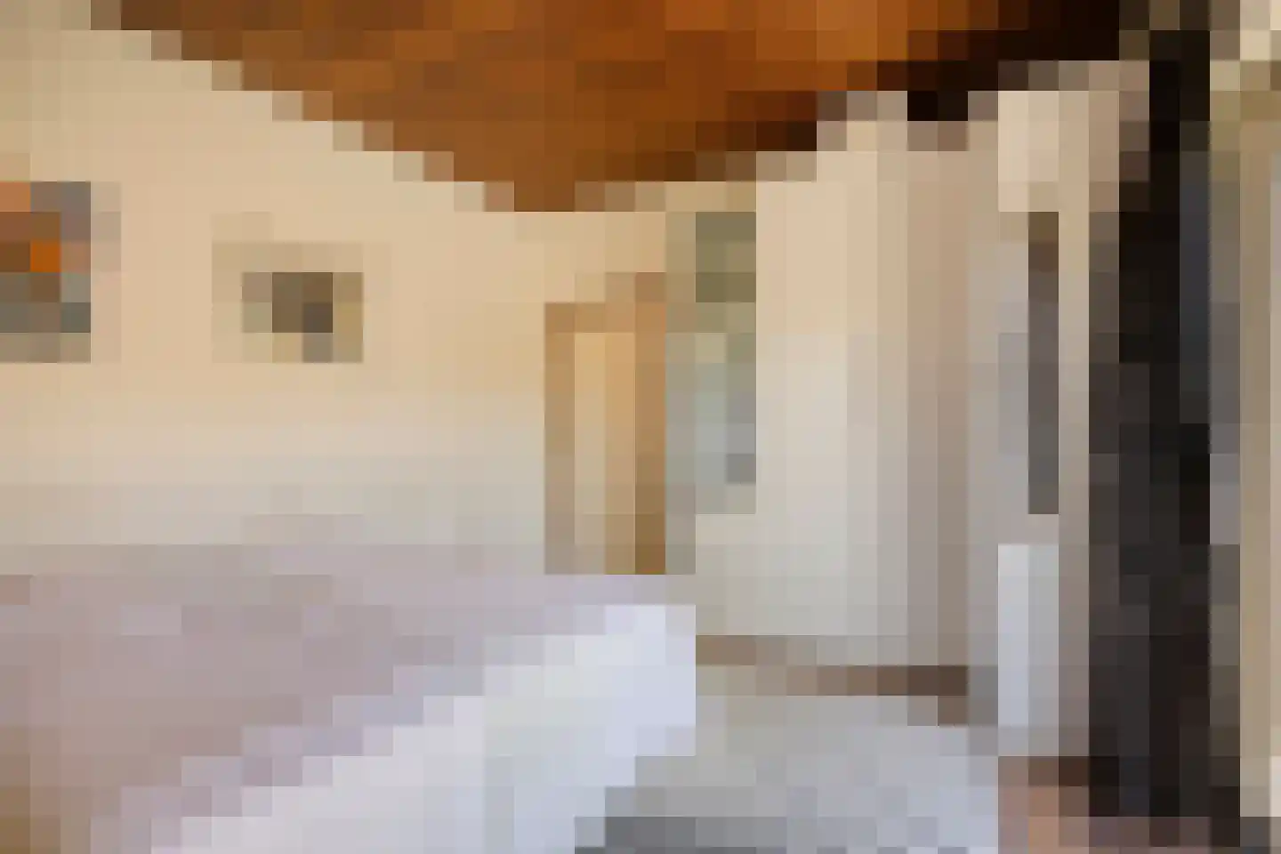 Brouwerslaan 18 Bemmel thumbnail 28