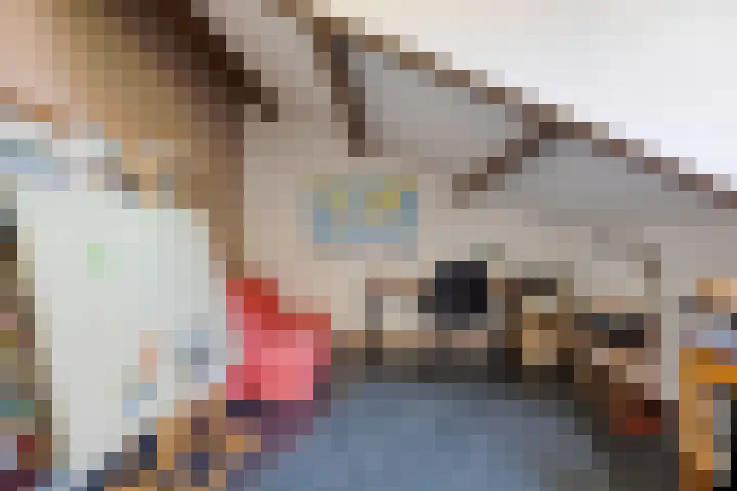 Brouwerslaan 18 Bemmel thumbnail 41