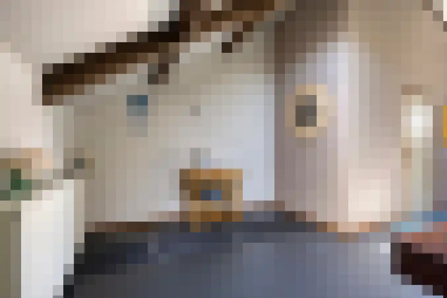 Brouwerslaan 18 Bemmel thumbnail 44