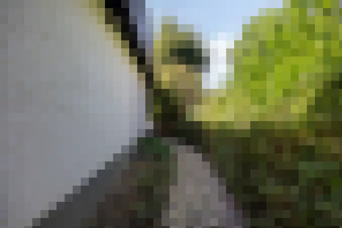 Brouwerslaan 18 Bemmel thumbnail 56