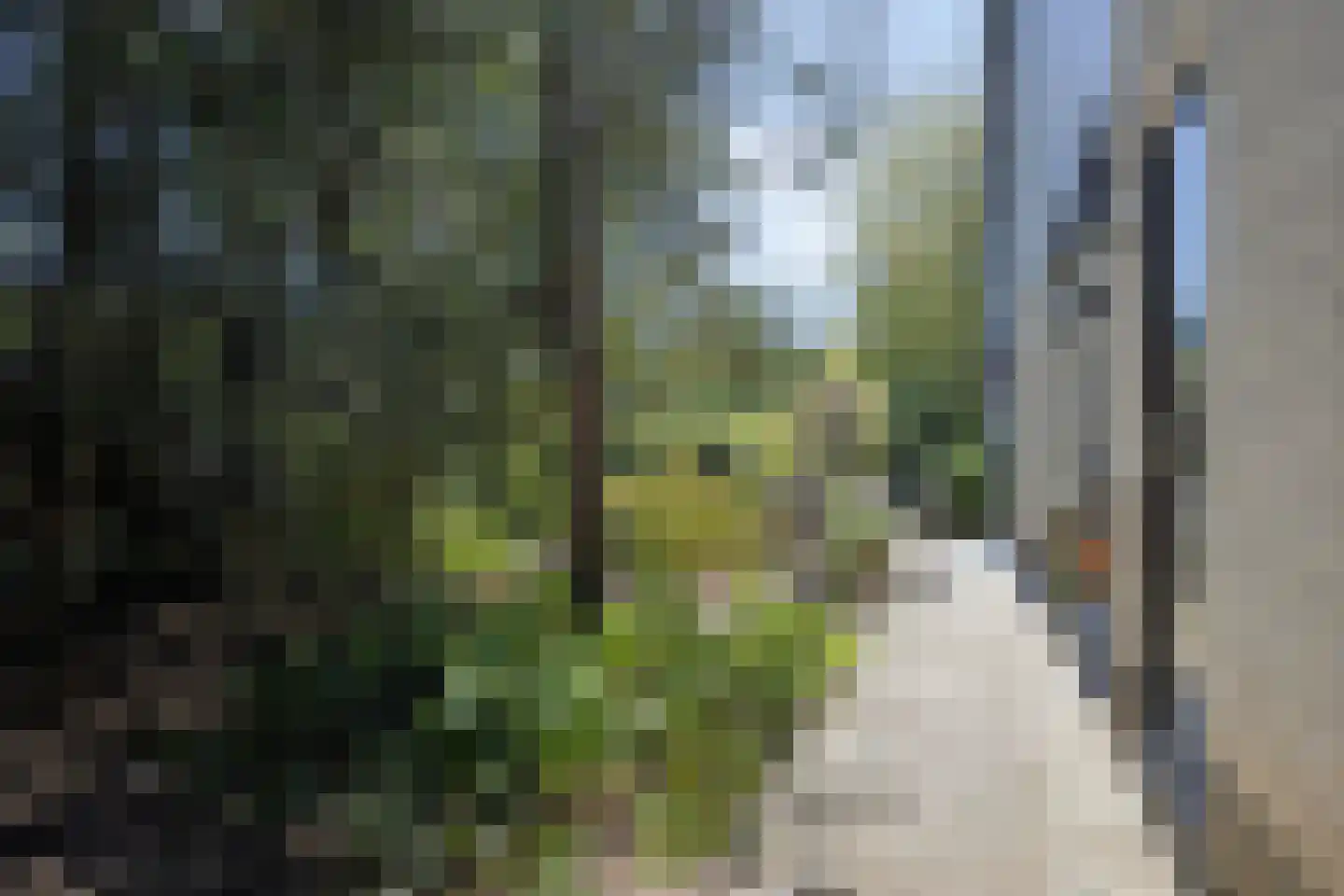 Brouwerslaan 18 Bemmel thumbnail 57