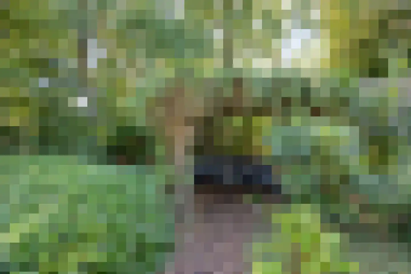 Brouwerslaan 18 Bemmel thumbnail 62