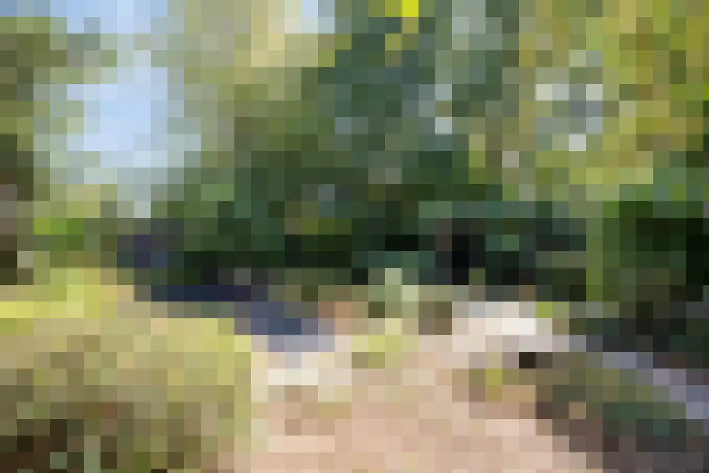 Brouwerslaan 18 Bemmel thumbnail 63