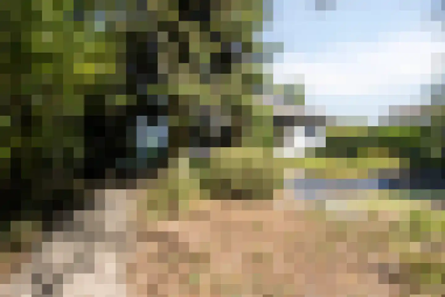 Brouwerslaan 18 Bemmel thumbnail 65