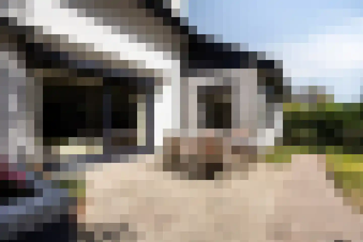 Brouwerslaan 18 Bemmel thumbnail 67