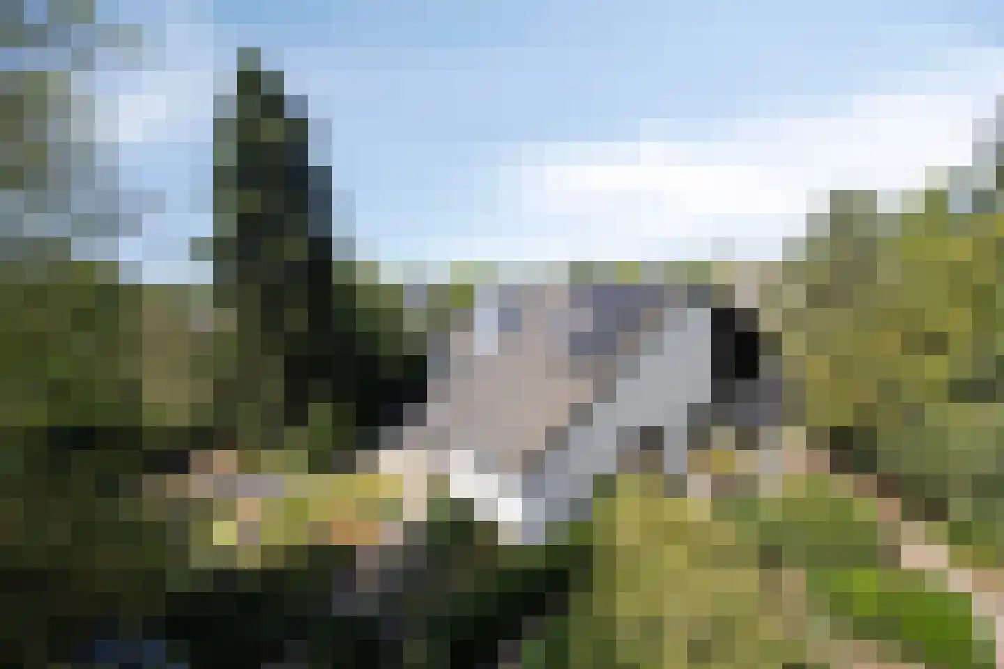 Brouwerslaan 18 Bemmel thumbnail 73
