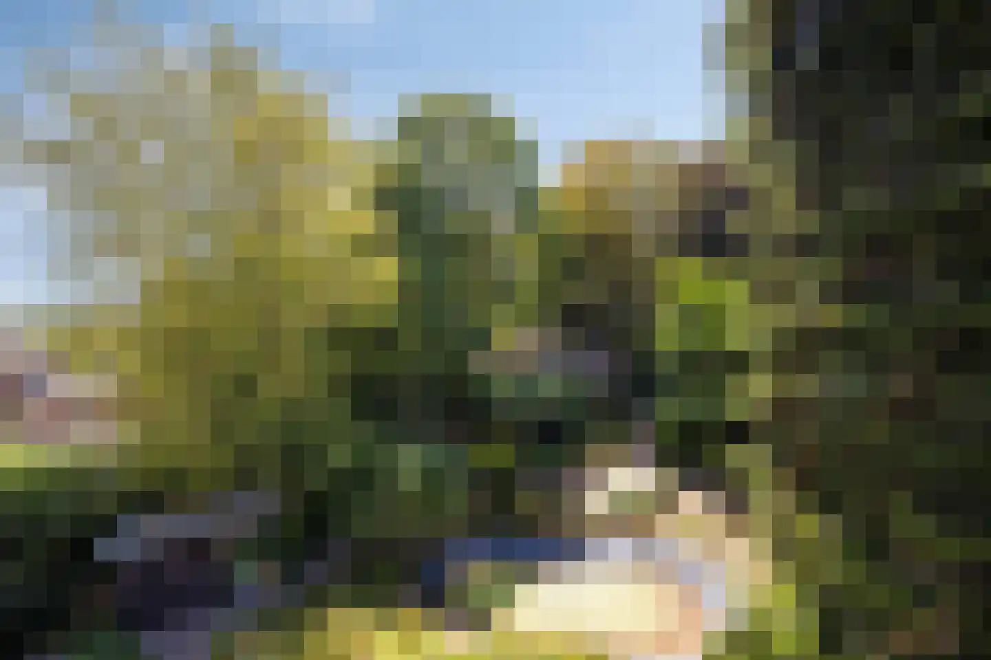 Brouwerslaan 18 Bemmel thumbnail 76