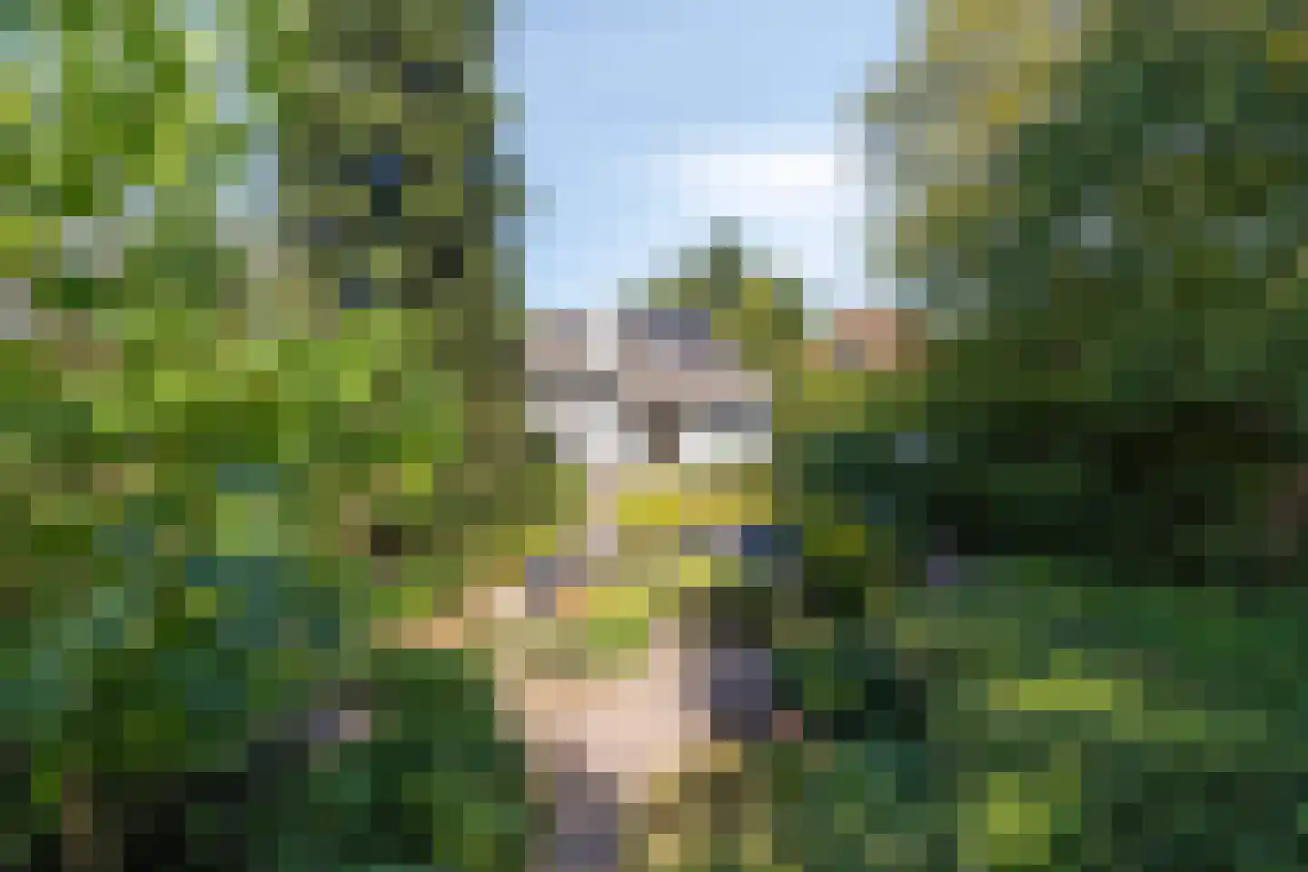 Brouwerslaan 18 Bemmel thumbnail 77