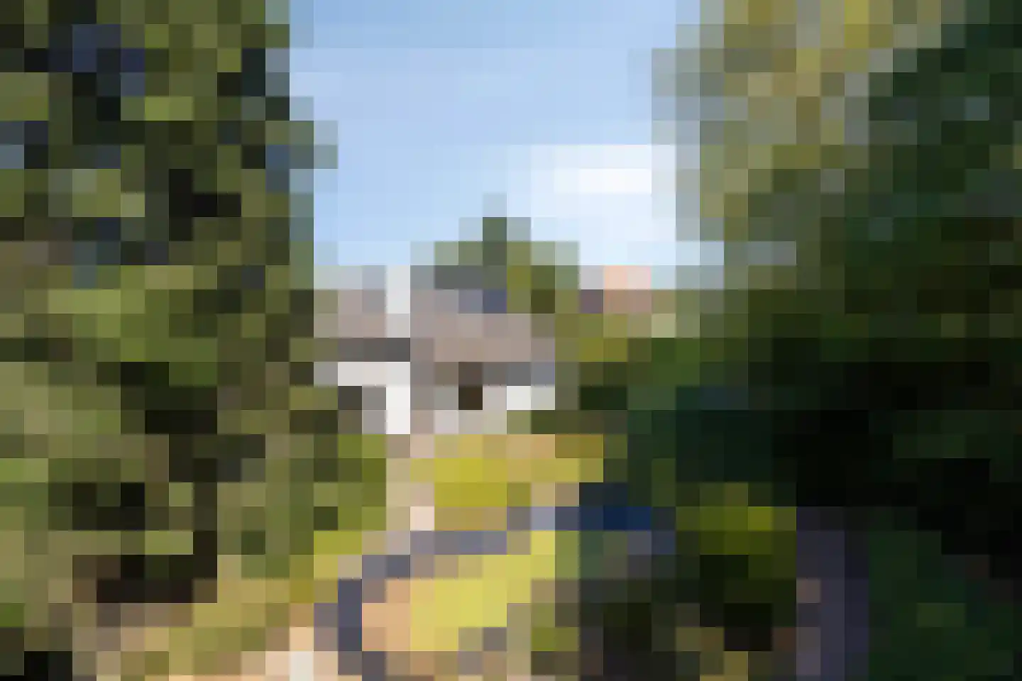 Brouwerslaan 18 Bemmel thumbnail 78
