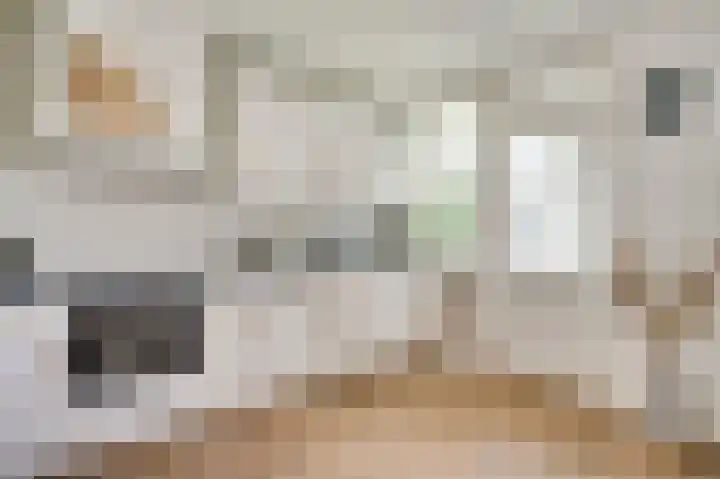 Brouwerslaan 23 Heythuysen thumbnail 13