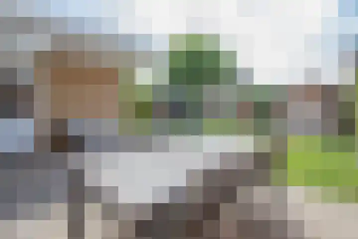 Brouwerslaan 26 Heythuysen thumbnail 27