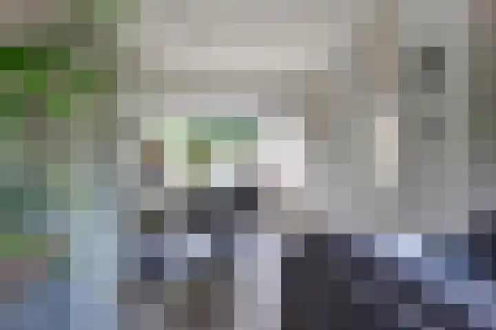 Brouwerslaan 37 Bemmel thumbnail 10