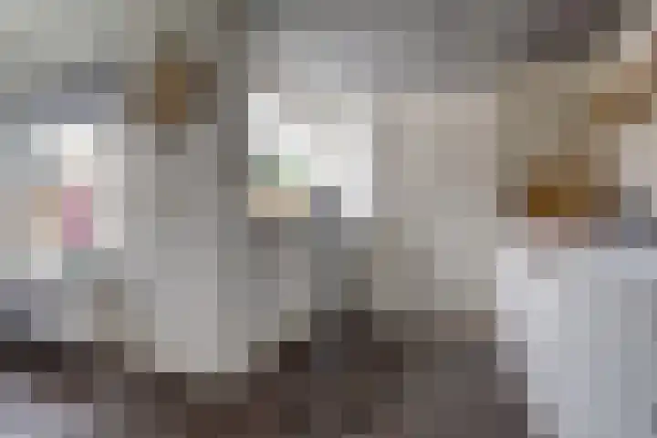 Brouwerslaan 37 Bemmel thumbnail 13