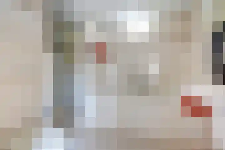 Brouwerslaan 37 Bemmel thumbnail 30