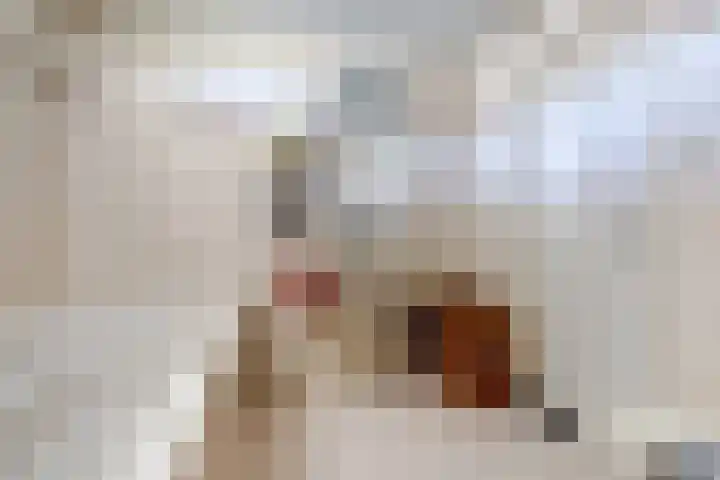 Brouwerslaan 37 Bemmel thumbnail 31
